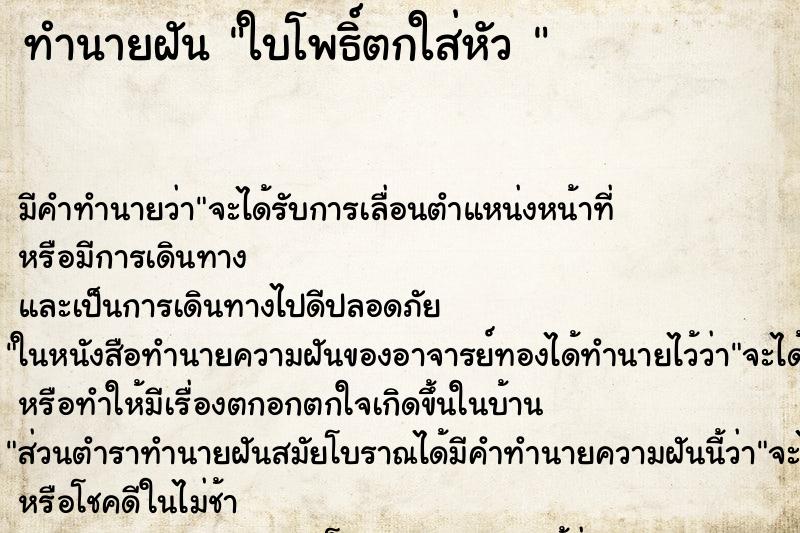 ทำนายฝัน ใบโพธิ์ตกใส่หัว 